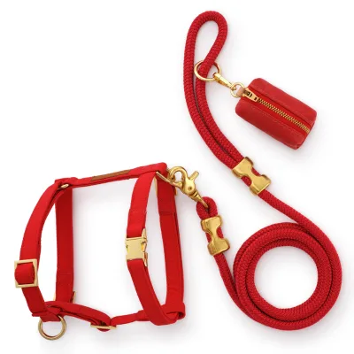 Strong Sturdy Slip Round Leash With Match Dog Harness Poop Bag Dog Item Set for Small Medium Dogs Street Walking Playing