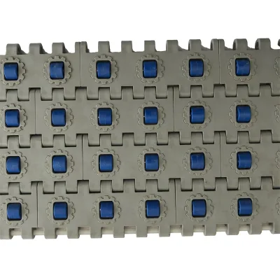 Hot Sale Modular Plastic Conveyor Belt Custom Mould Processing Made in China