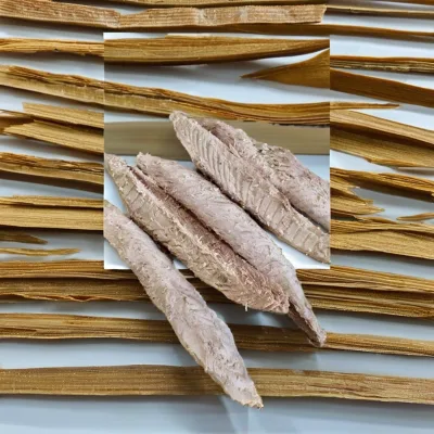 Healthy and Wholesome Frozen Skipjack Tuna Indonesia Frozen Katsuwonus Pelamis Skipjack Tuna/Buy Frozen Tuna