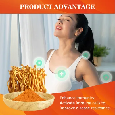 Cordyceps Militaris Polysaccharides Extract Powder-Natural Food Grade Solvent Extracted Daily Vitality Wellness Support Raw