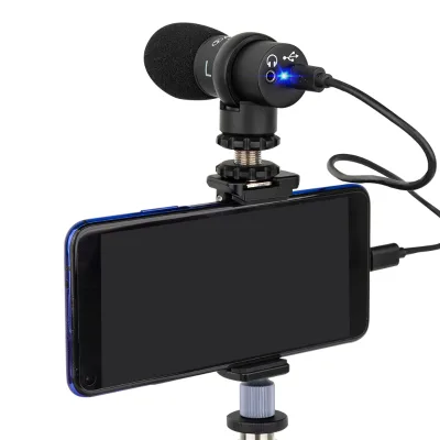 Professional Wireless Broadcasting Condenser Microphone Black Metal CE Alctron Rack-Mounted Singing Studio USB Bus Power