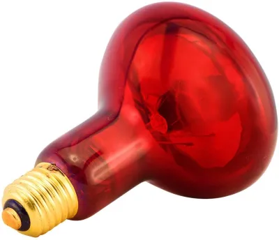 Red Infrared Reflector Heating Bulb Lamp 250W Infrared Heater