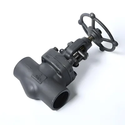 A105N Forged Steel Sleeve Welded Socket Thread NpT High-pressure J61H Manual Shut-off Valve