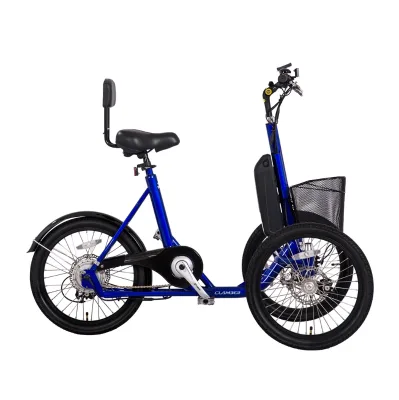 2024 Electric Trike for Adult with Front Basket