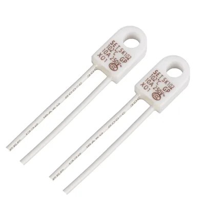 Customizable Radial Installation SK Series Hole Thermal Fuse 10A 250V 102-221C Temperature Fuse for Switching Mode Power