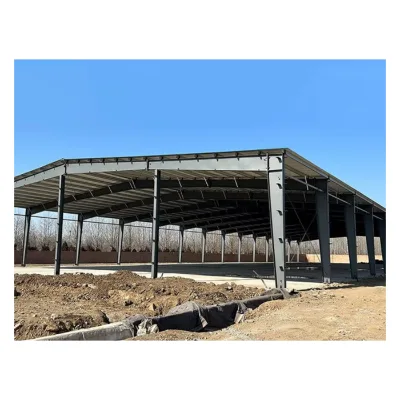 Hangar Métallique Pour Marché Couvert Grande Portée, Ventilation Naturelle, Toiture Isolante Thermique