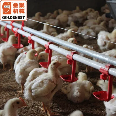 Hot Sale Goldenest Nipple Drinking System Water Drinking Line Nipple Drinker for Broiler Breeder Parent Stock Day Old Chicks
