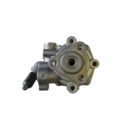 OE 2E0422145B/2E0 422 145 B/54709/9064660501/6022009 Auto Power Steering Pump for VW VOLKSWAGEN Crafter Comb