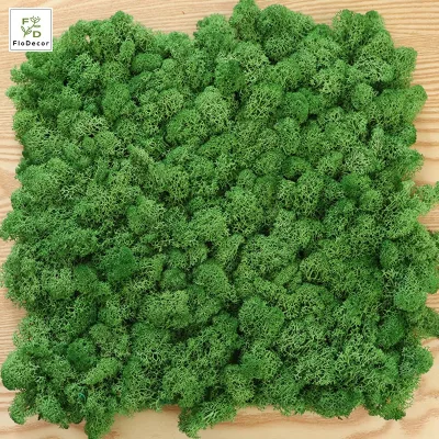 Decorative Simulation Moss Panel Colorful Artificial Moss Panels Natural Green White