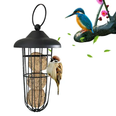 Eco-Friendly Windproof Iron Metal Parrot Bird Feeder Hanging for Outside Window Balcony Box Packed