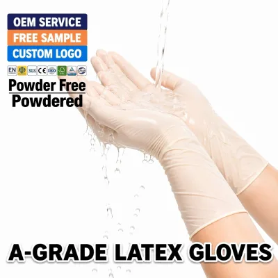 Gloves Latex Powder Free Box Examination Powdered Medical Long Elbow Length Safe Hypoallergenic Protective Tear Resistant
