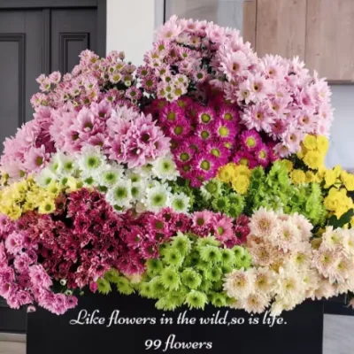 Hot Selling Wedding Fresh Cut Flowers Spray Chrysanthemums for Wedding Party Decorative Floral Bouquet