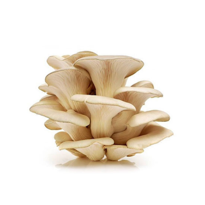 Food Grade Herbal Supplements Oyster Mushroom Vitamin