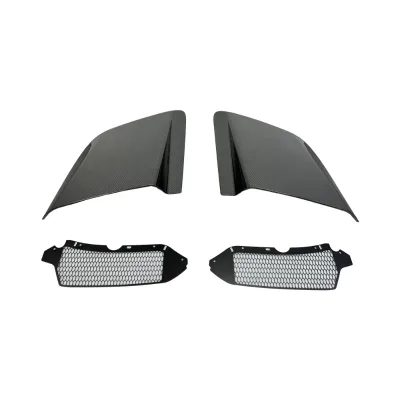 Capristo Style Dry Carbon Fiber Car Side Vent Trim Side Door Fenders Blade Panels for Audi R8