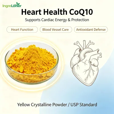 Muscle Support CAS 303-98-0 Coenzyme Q10 Powder CoQ10 Powder in Bulk Stock