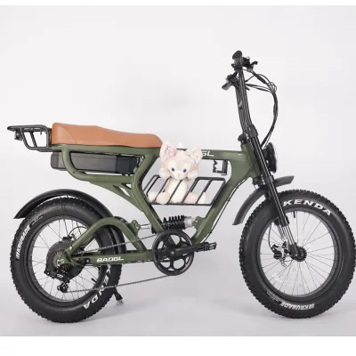 Factory Direct Shipping 52V Fat Tyre Dual Motor 1000 Watts Dual Battery Bike Electric