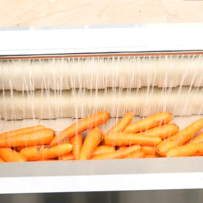 600mm Length Vegetable Brushing Cleaning Ginger Washing Peeling Machine / Industrial Potato Peeler