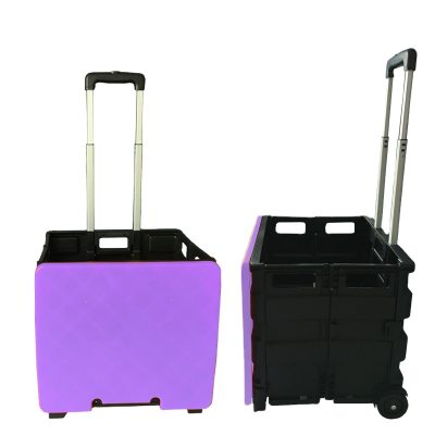 Globe hot sell  shopping cart trolley plastic shopping cart with 2 wheels