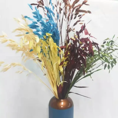 Factory Wholesale Dried Real Preserved Bleached Chasmanthium Latifolium for Decoration/home/wedding Flower Arrangement on INS