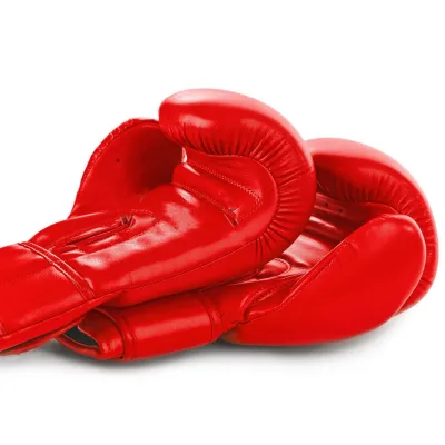 Professional MMA & Boxing Sports Training Dummy Set Quality Gloves and Pads for Sale