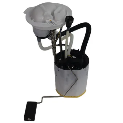 Hot Selling Fuel Pump Assembly for Volkswagen Imported Magotan 3.6L 3C8919051B 3AA919051E 3C091905AF/L/Q