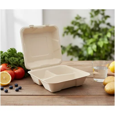 Free Simple Eco Friendly Sugarcane Bagasse Pulp Disposable Food Grade 3 Compartment Clamshell Self-locking Box with Lid