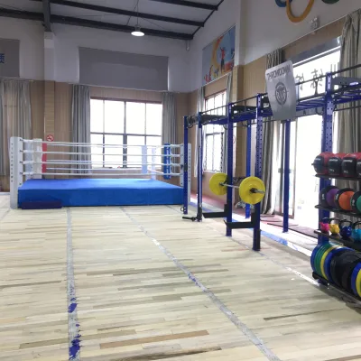 Boxing Gym MMA Mixed Martial Arts Club Training Equipment Durable and Versatile Boxing Ring