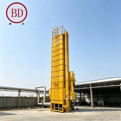 High Capacity New Design Stainless Steel Corn & Paddy Dryer Machine with Engine Motor Gearbox Gear for Long Service Life