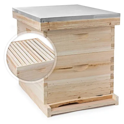 One Deep and One Shallow for Bees Langstroth Wood Bee Hive