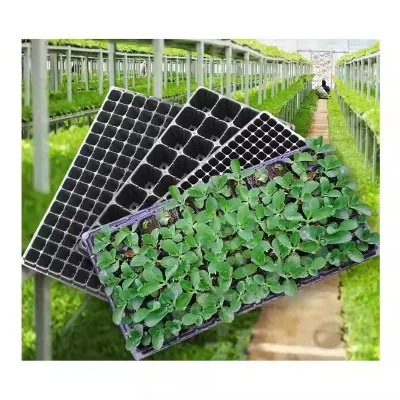 Factory Direct Sale Durable Biodegradable Porous Plastic Black Seeding Tray Multiple Specifications for Hydroponic Seedling