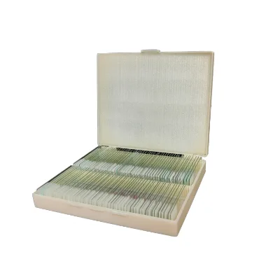 S100 Biological Microscope Slides Box Microscope Slide Section for Lab