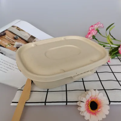 800ml Rectangle Eco-Friendly Food Takeaway Boxes Bagasse Compostable 100% Biodegradable Microwave Refrigerator Safe Lid Food Box