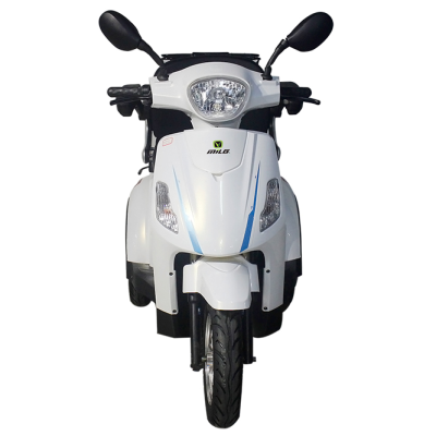 China Cheap Heavy City Duty Carrier Adult 3 Wheel Peru Electric 500w Tricycle Cargo for Delivery
