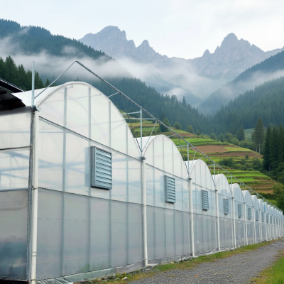 Reasonable Price Smart Green House Climate and Control System Garden Green House for Mushroom Growing