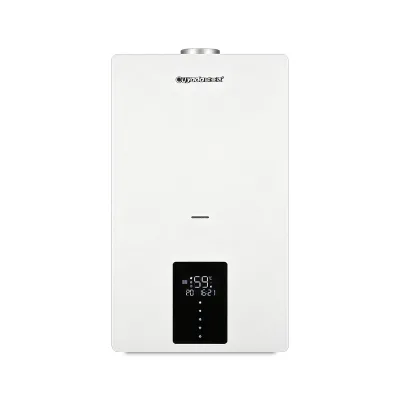 Factory Wholesale Durable Double Heat Exchanger Low NOx Modulating Combi Gas Boiler Easy Installation Residential Heating