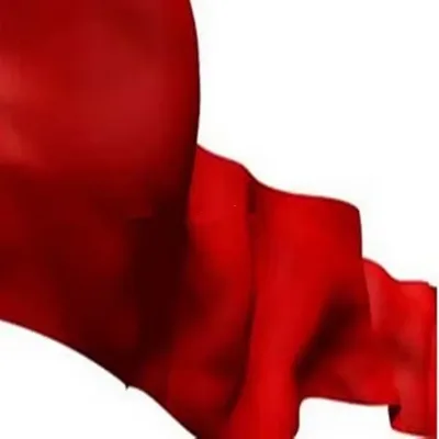 VAT RED R 100% (VAT RED 29) for Cotton and Cotton Fiber