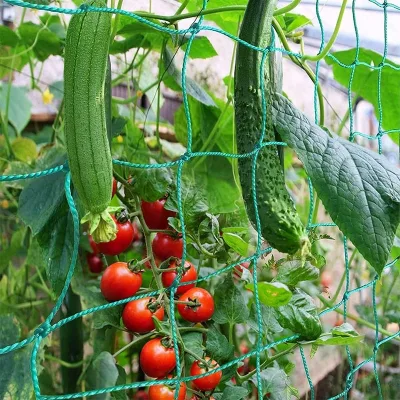 Plant Support Net Vegetable Garden Shade Netting Plant Support Extruded Net