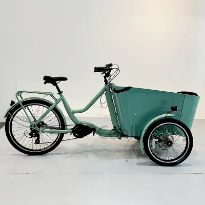 High Quality Steel Frame Tricycle Family Cargo Kids Bike 6-speed Steel Frame Cargo Bike for Sale