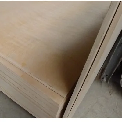 18mm 4*8' Birch Plywood Price for Flat Die Making