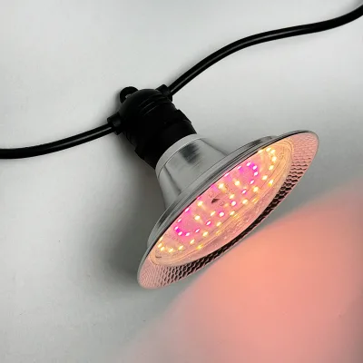 Dragon Fruits Pitaya Grow Light Bulb E27 12W 15W Full Spectrum Aluminum Body LED Light Source Linkable for Bloom
