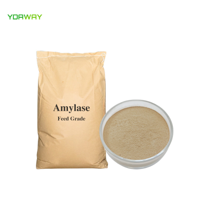 Food Grade Amylase Enzyme Powder Alpha Amylase for Bakery and Food Processing Halal Certified High Activity