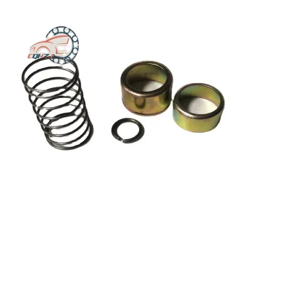 CQHZJ Good Price Tvs Bajaj TukTuk Spare Parts Spring Steel Liner Tvs 125 in Kenya