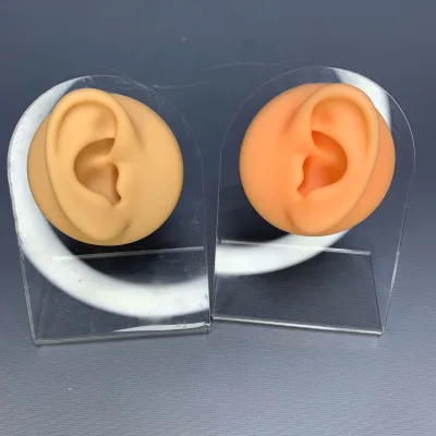 OEM Soft Silicone Ear Model for Hearing Aid Life Size Human Ear Model Simulation Display Props Teaching Tools Jewelry Display