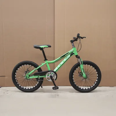 Hot Sale 20 Inch Green RIXI Single Speed Kids Mountain Bike Disc Brake High Carbon Steel Bicycle
