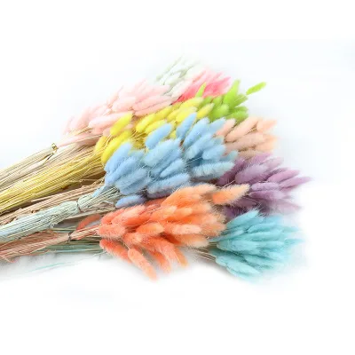 Decorative Flower Natural Dried Bunny Tails Lagurus Dried Ovatus Grass Flowers Lagurus Dried Floral Pampas Bunny Tails Flower
