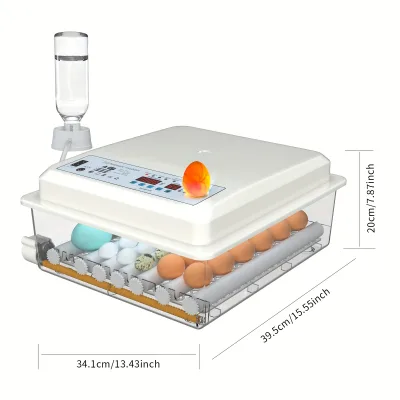 Automatic Chicken Egg Incubator 36 Eggs Digital Temperature Regulator Auto Turning Poultry Hatcher for Africa Mozambique Market