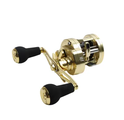 cDS200 Intelligent Hall Sensor Electronic Brake Metal Body Saltwater Casting Trolling Fishing Baitcasting Reel