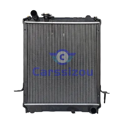 Truck Truck tank Radiator Assembly for Qingling 600P