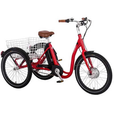 Hot Selling 36V Electric Tricycle Cargo Bike Cheap Adults Rickshaw Motorized 3 Wheels EEC Certified Both Open Closed Available