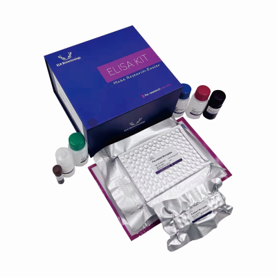 Human Endocab IgG ELISA Kit